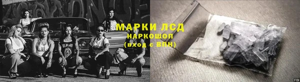 СК Заводоуковск