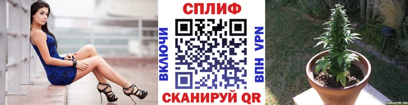 Конопля марихуана  Купить  Воронеж 